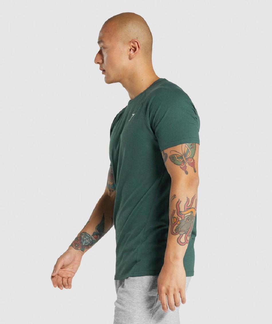 T Shirts Gymshark Critical 2.0 ανδρικα σκούρο πρασινο | GR_EC6089