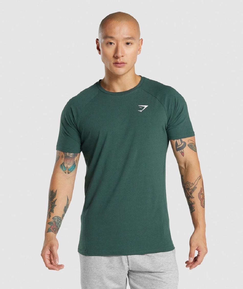 T Shirts Gymshark Critical 2.0 ανδρικα σκούρο πρασινο | GR_EC6089