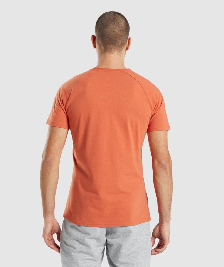 T Shirts Gymshark Critical ανδρικα πορτοκαλι | GR_TC6226