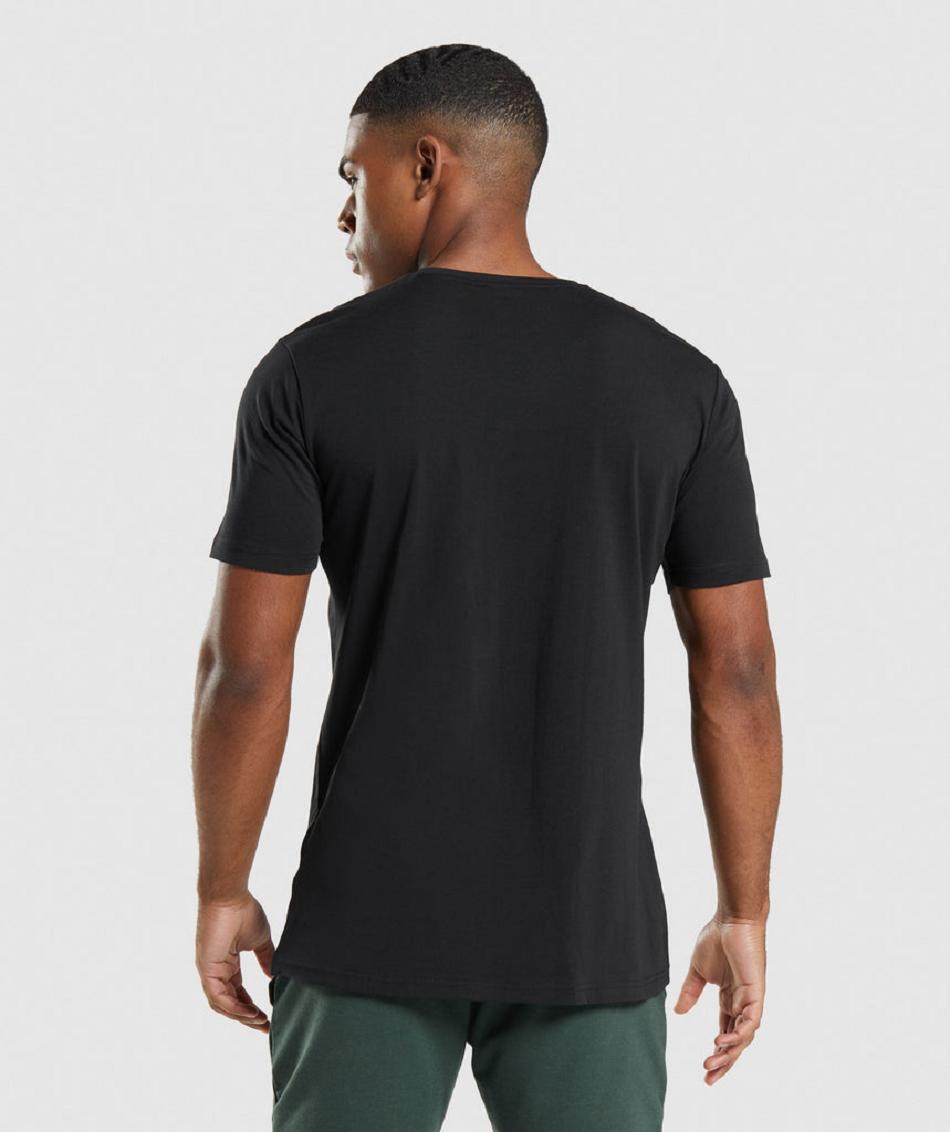 T Shirts Gymshark Critical ανδρικα μαυρα | GR_TG6726