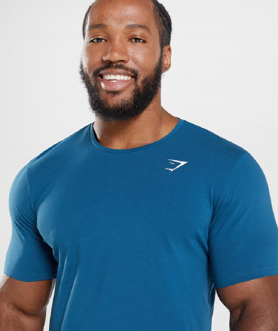 T Shirts Gymshark Essential ανδρικα μπλε | GR_EC4292