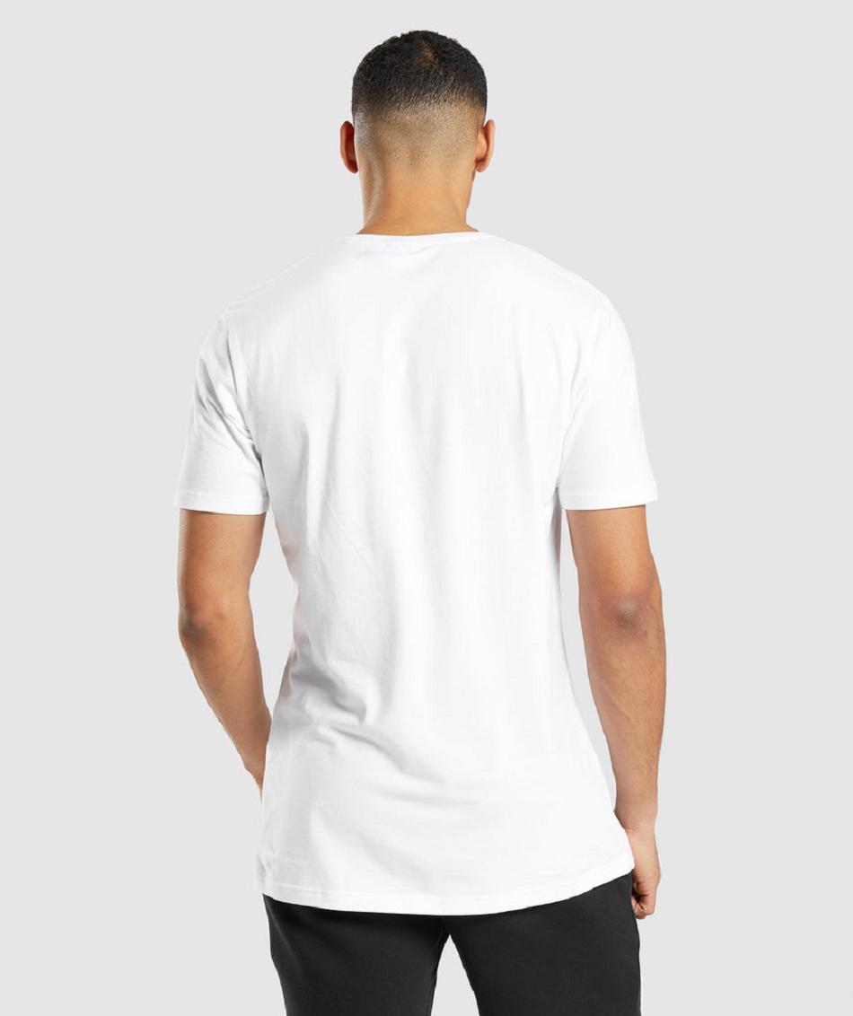 T Shirts Gymshark Essential ανδρικα ασπρα | GR_O5275