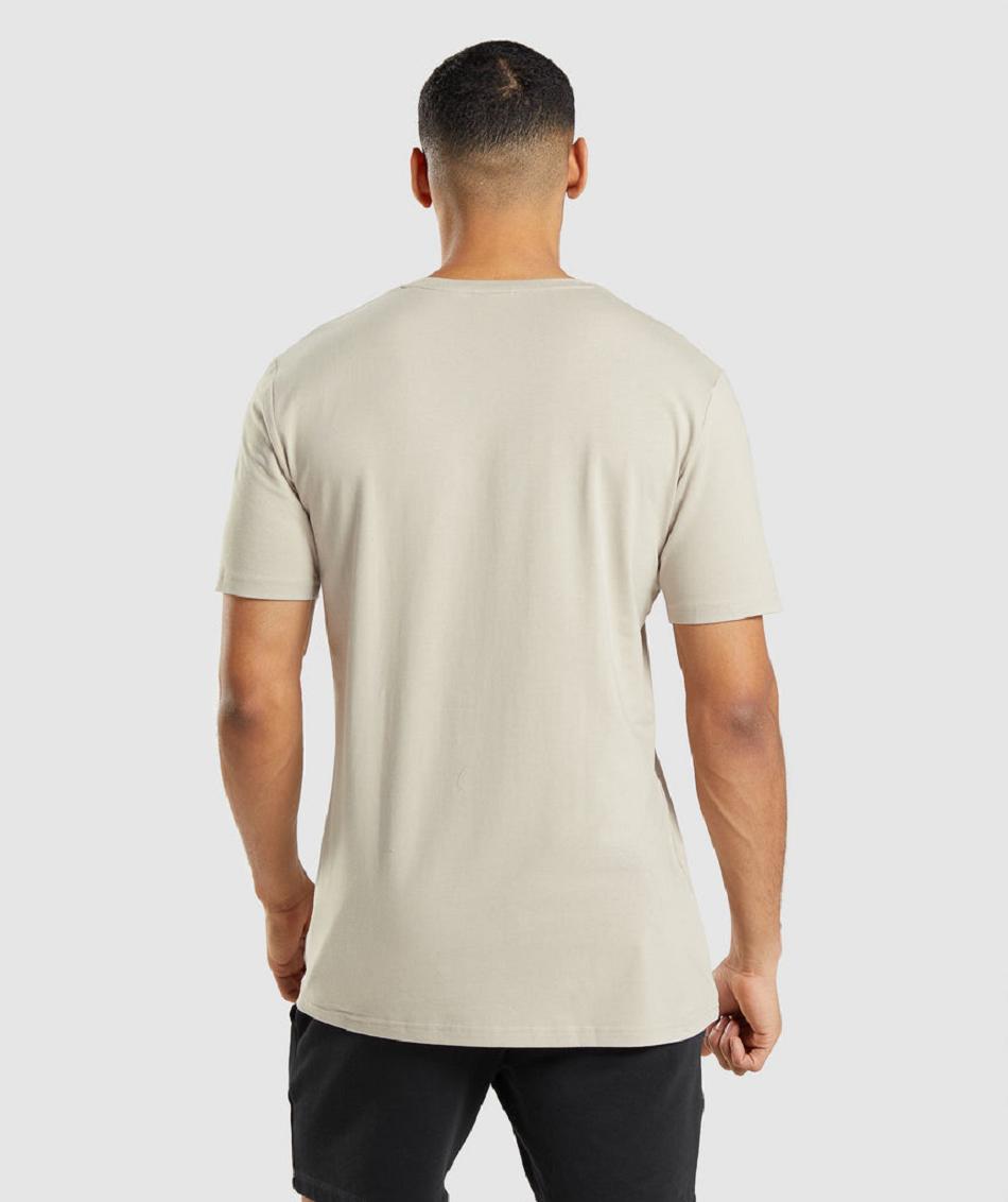 T Shirts Gymshark Essential ανδρικα γκρι | GR_QX9719