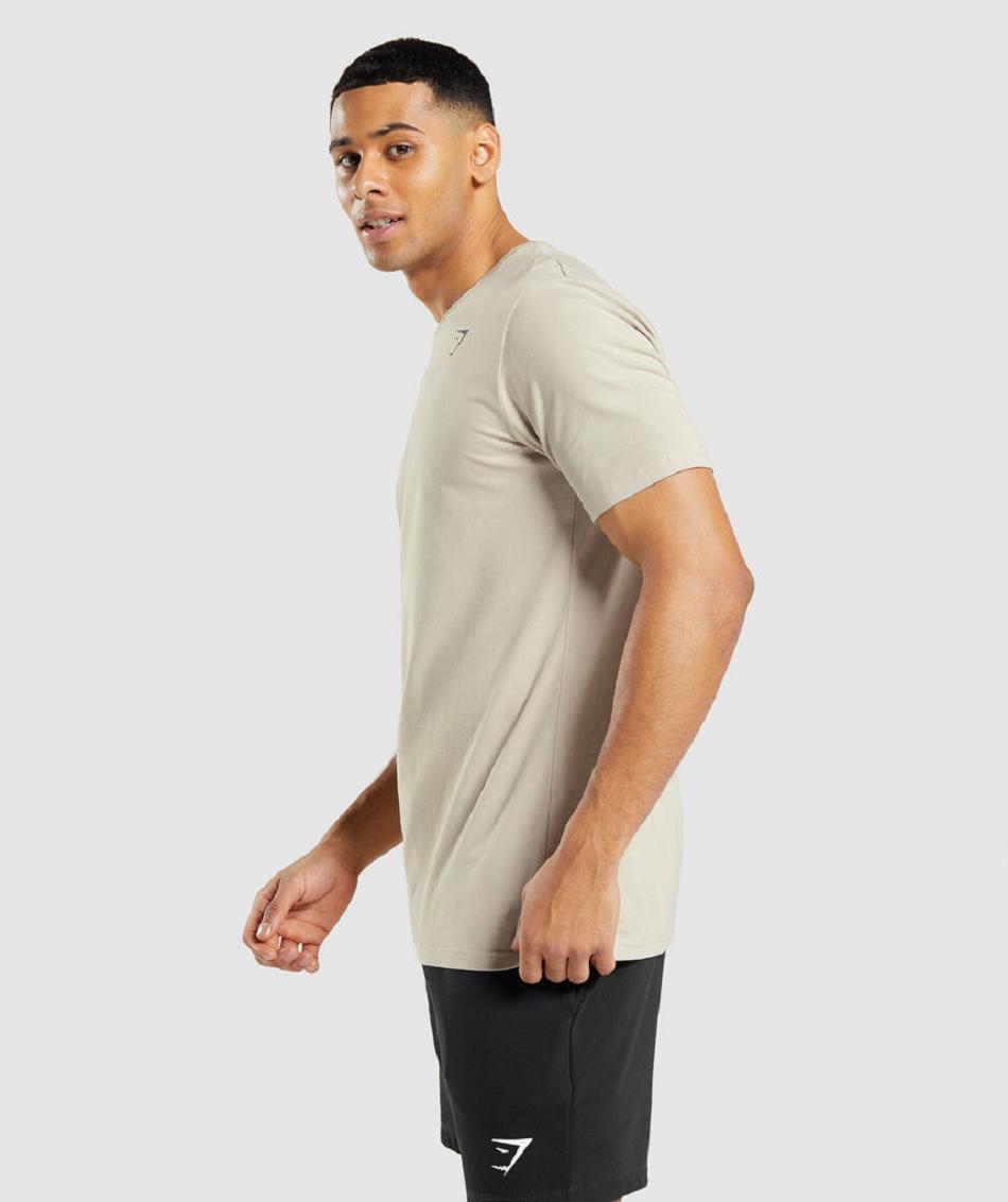 T Shirts Gymshark Essential ανδρικα γκρι | GR_QX9719