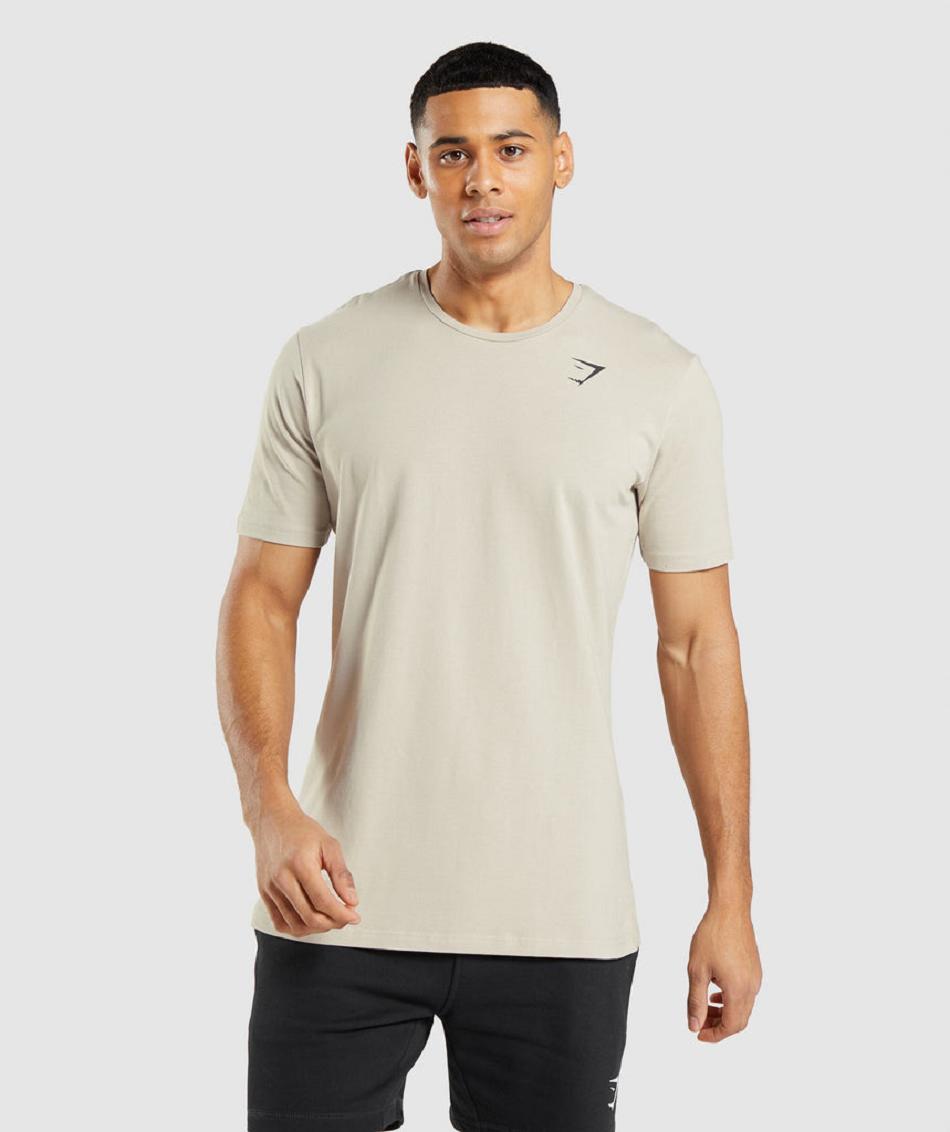 T Shirts Gymshark Essential ανδρικα γκρι | GR_QX9719