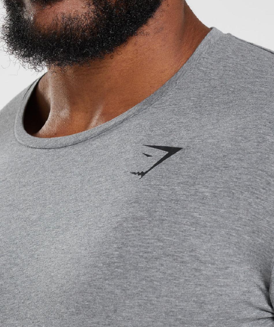 T Shirts Gymshark Essential ανδρικα γκρι | GR_XC1002