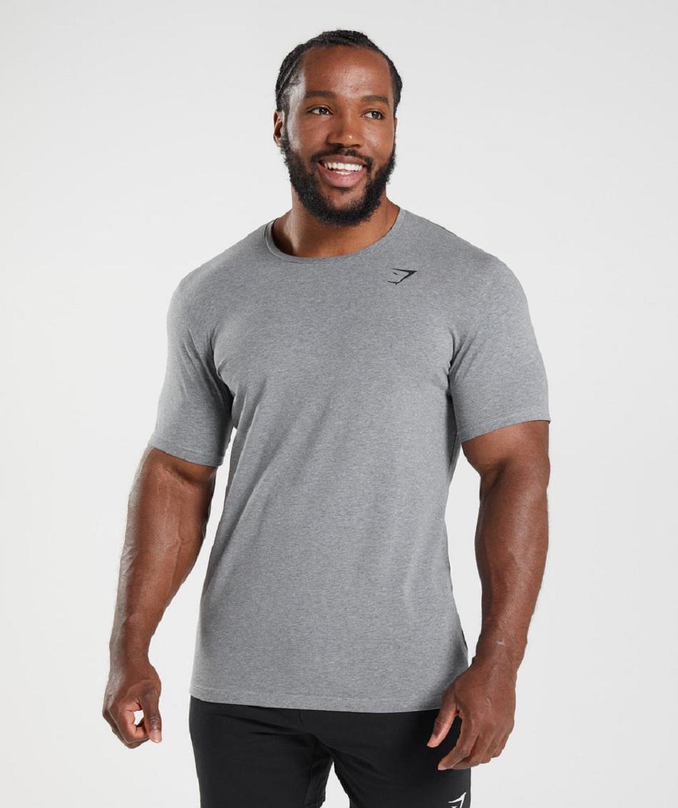 T Shirts Gymshark Essential ανδρικα γκρι | GR_XC1002
