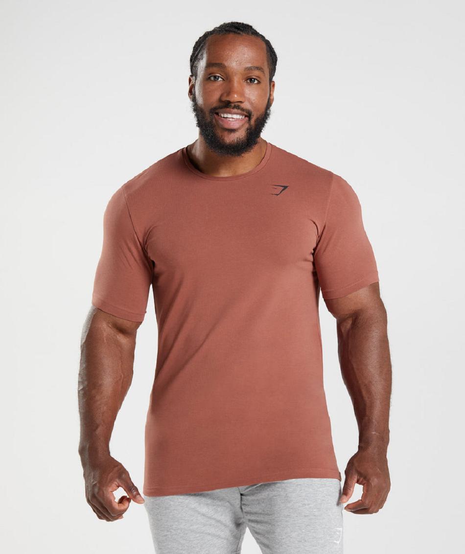 T Shirts Gymshark Essential ανδρικα ροζ καφε | GR_R4401