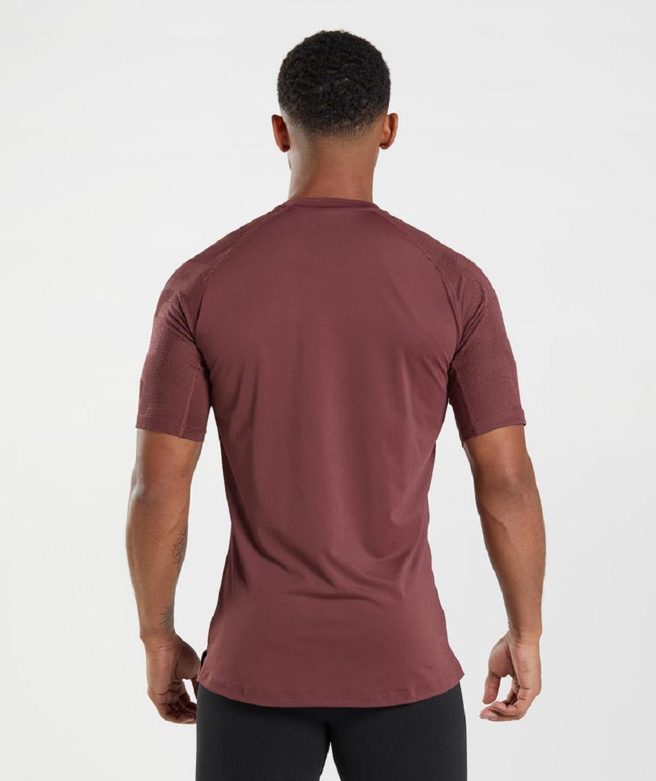 T Shirts Gymshark Form ανδρικα ροζ καφε | GR_BH1208