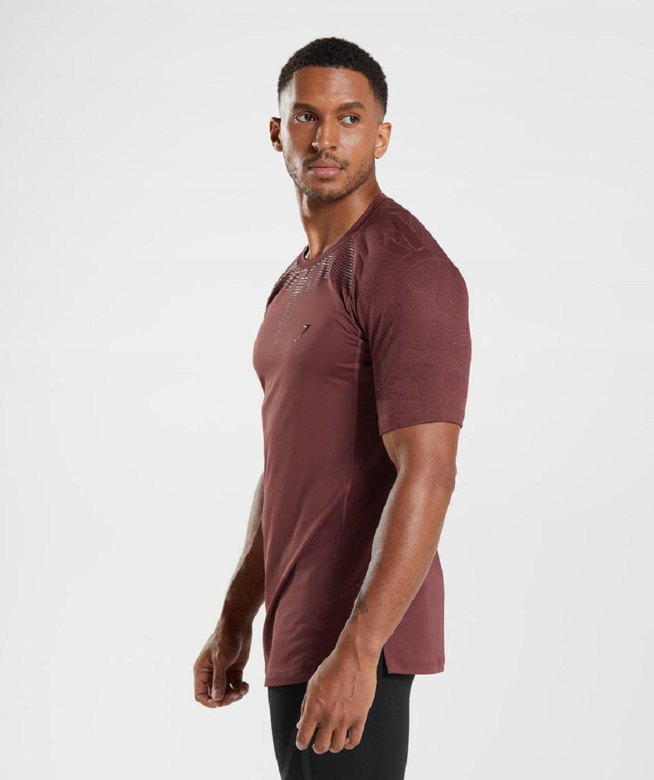 T Shirts Gymshark Form ανδρικα ροζ καφε | GR_BH1208