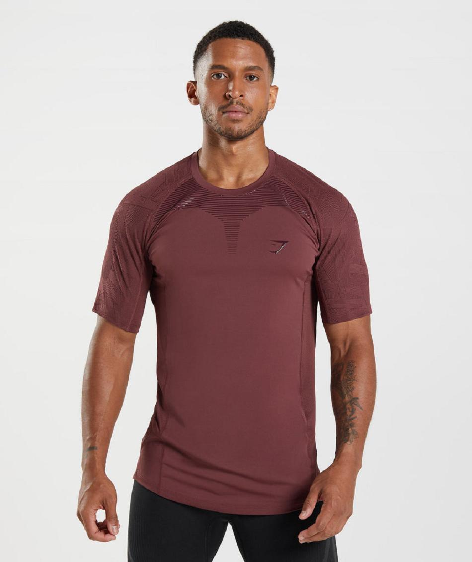T Shirts Gymshark Form ανδρικα ροζ καφε | GR_BH1208