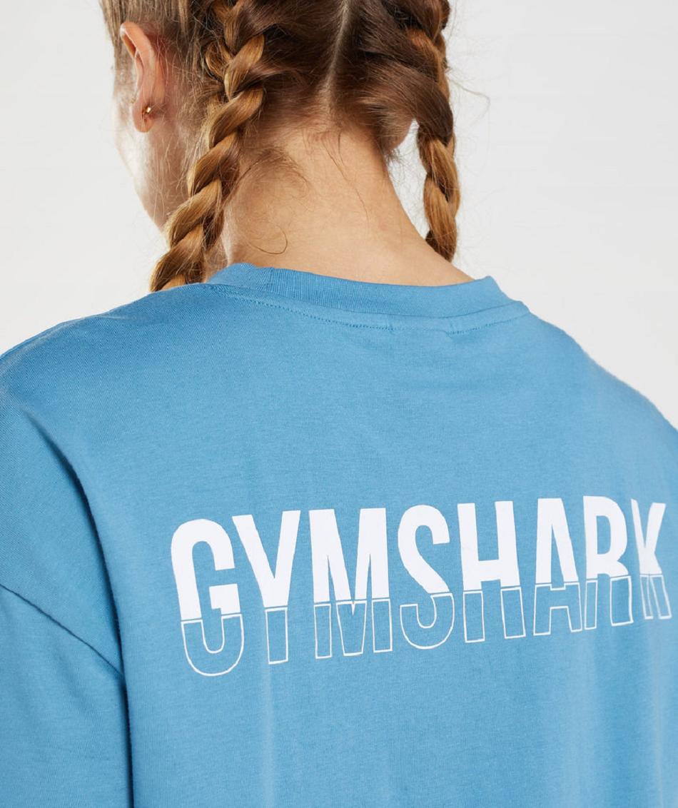 T Shirts Gymshark Fraction Oversized γυναικεια μπλε | GR_TG9952