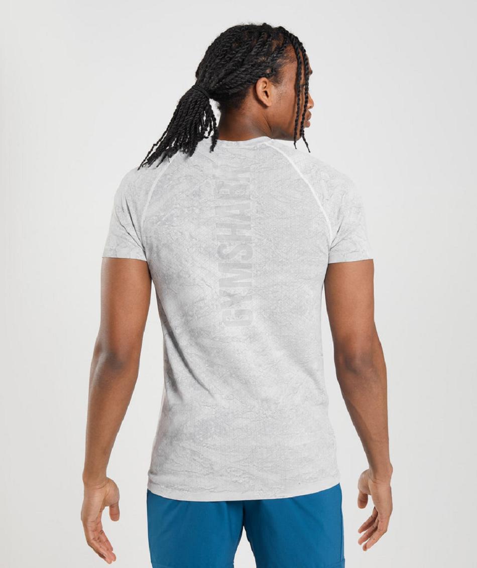 T Shirts Gymshark Geo Seamless ανδρικα ασπρα ανοιχτο γκρι | GR_TH9255