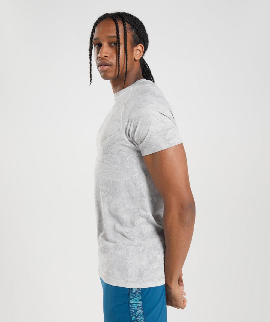 T Shirts Gymshark Geo Seamless ανδρικα ασπρα ανοιχτο γκρι | GR_TH9255