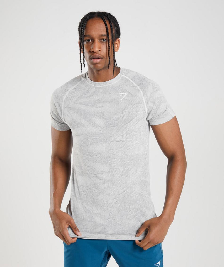T Shirts Gymshark Geo Seamless ανδρικα ασπρα ανοιχτο γκρι | GR_TH9255