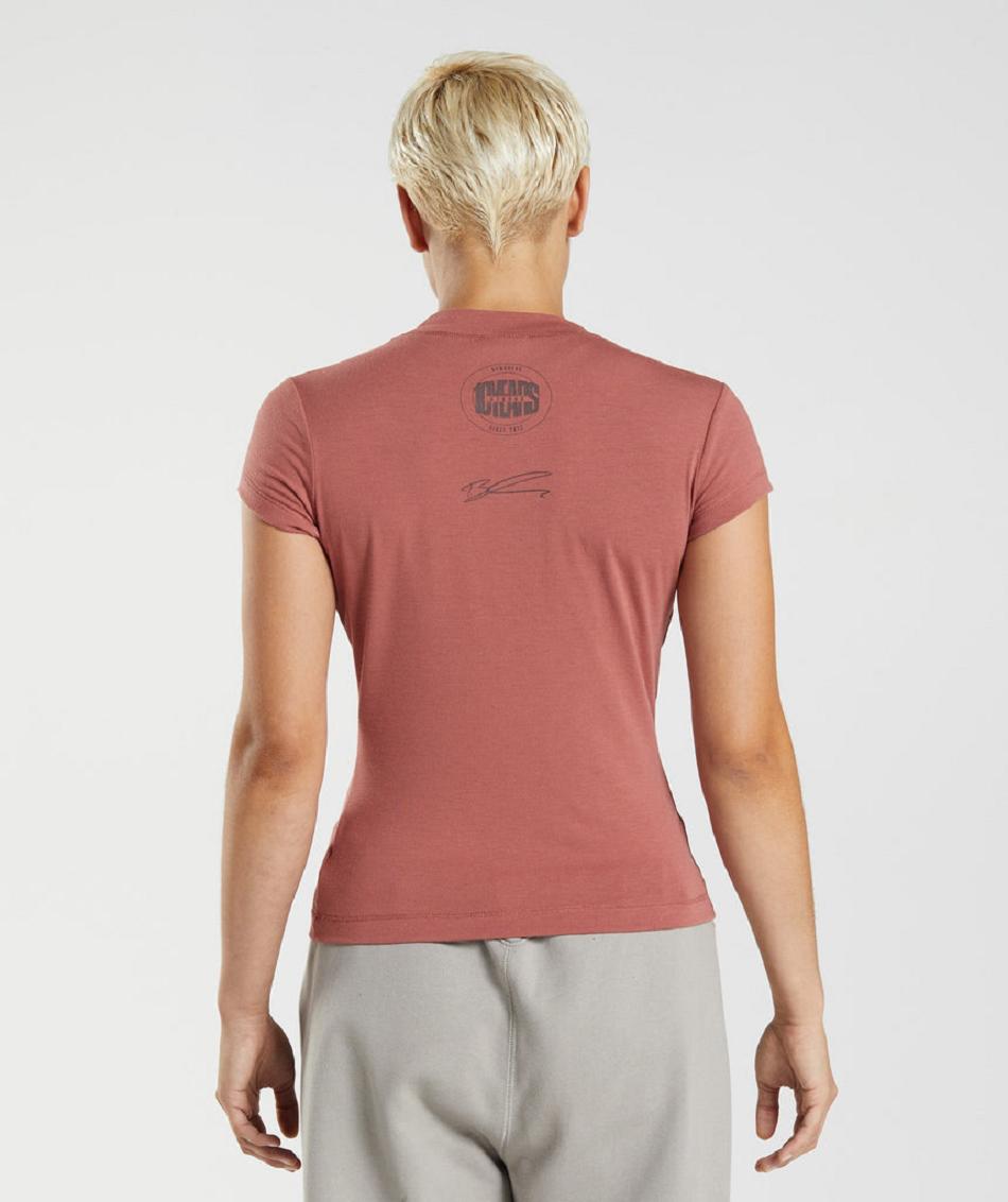 T Shirts Gymshark Gs10 Year Body Fit γυναικεια ροζ καφε | GR_KO5831