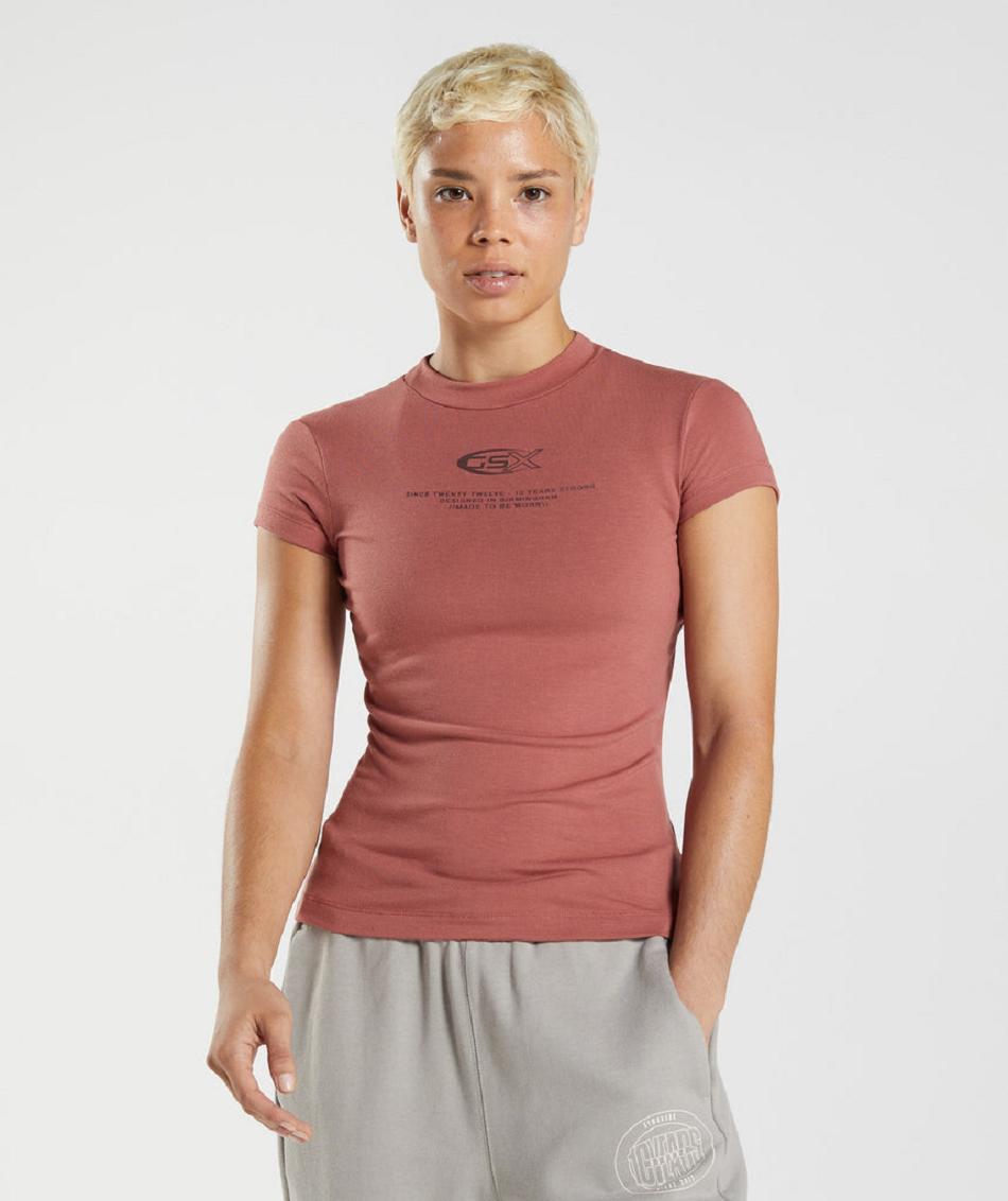 T Shirts Gymshark Gs10 Year Body Fit γυναικεια ροζ καφε | GR_KO5831