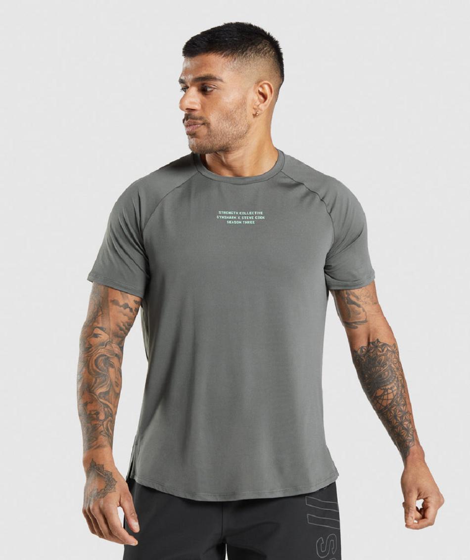 T Shirts Gymshark Gymshark//Steve Cook ανδρικα γκρι | GR_QZ2077