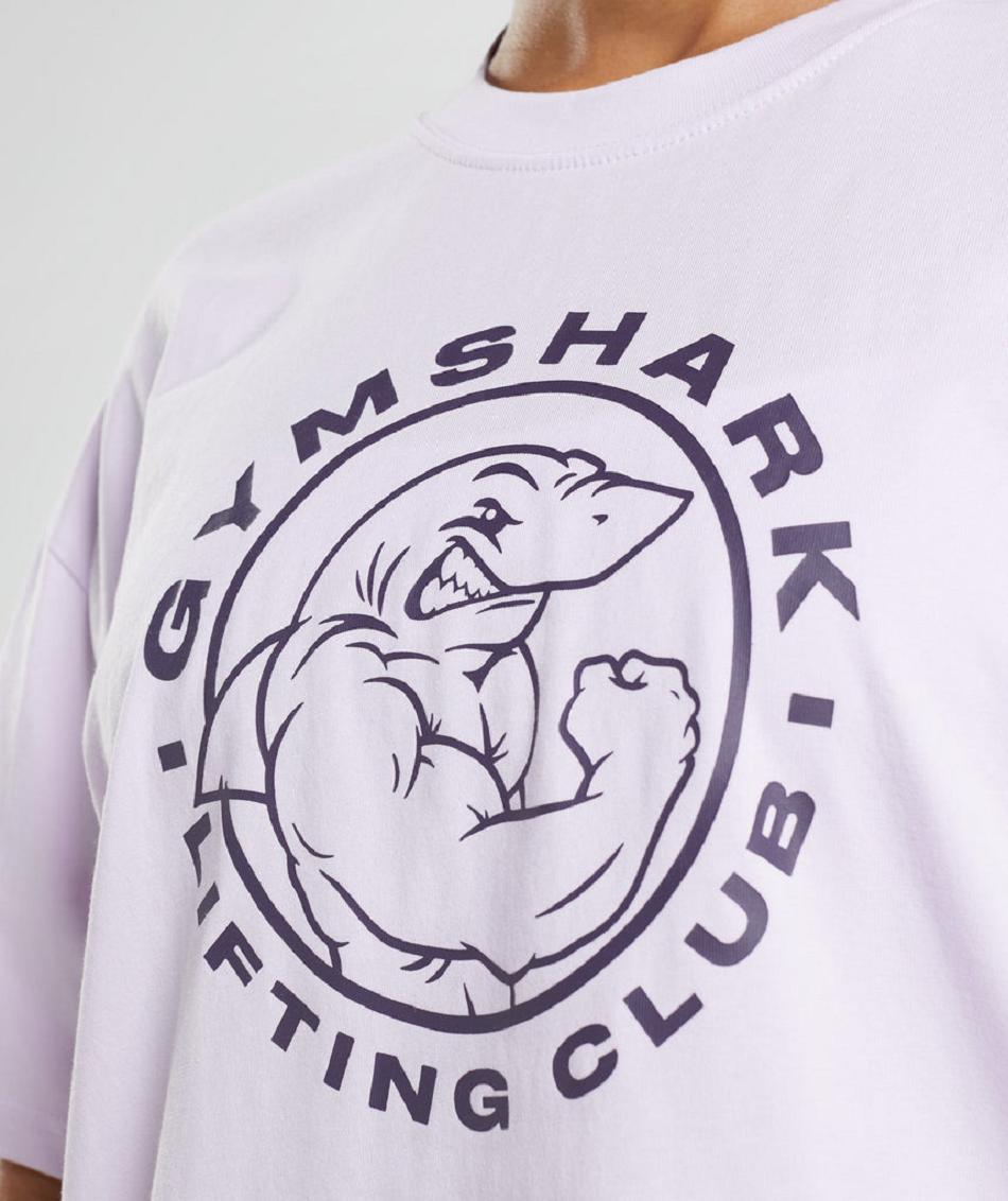 T Shirts Gymshark Legacy Oversized γυναικεια μωβ | GR_EC5134