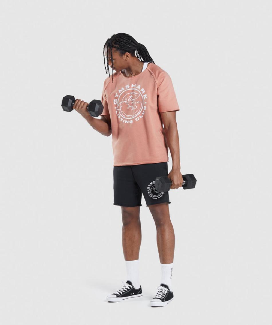 T Shirts Gymshark Legacy Rag Top ανδρικα ροζ | GR_N7806