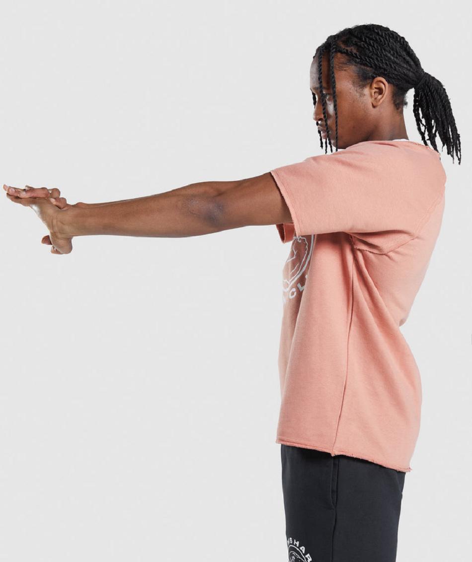 T Shirts Gymshark Legacy Rag Top ανδρικα ροζ | GR_N7806