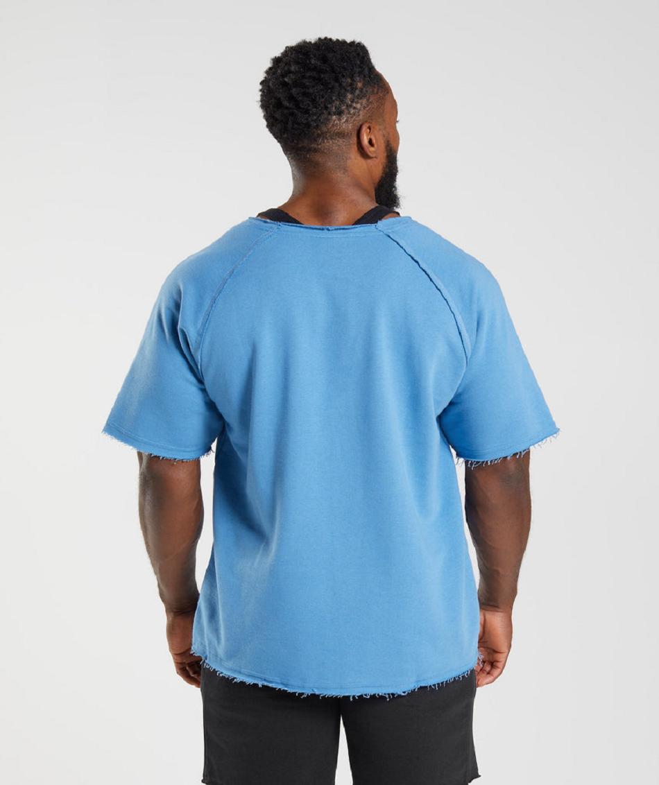 T Shirts Gymshark Legacy Rag Top ανδρικα μπλε | GR_TG9026