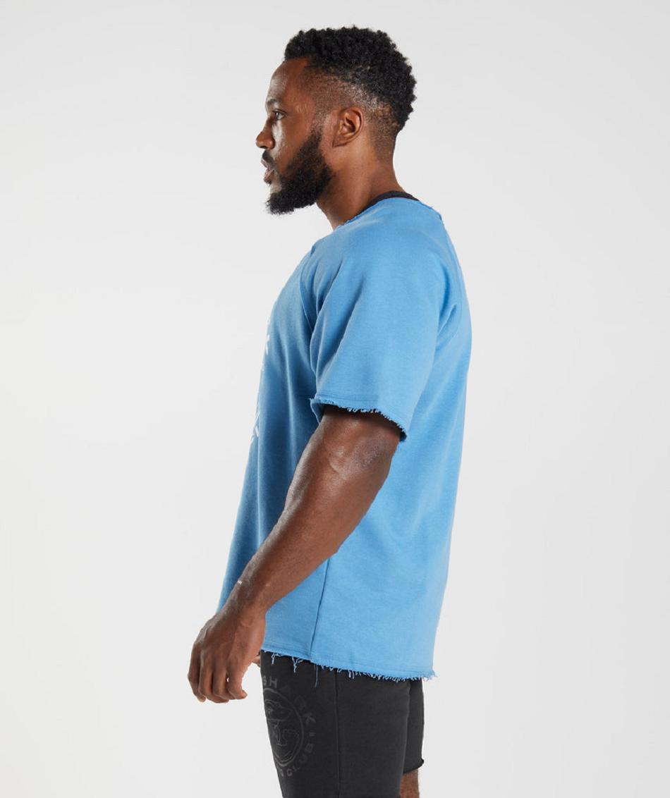 T Shirts Gymshark Legacy Rag Top ανδρικα μπλε | GR_TG9026