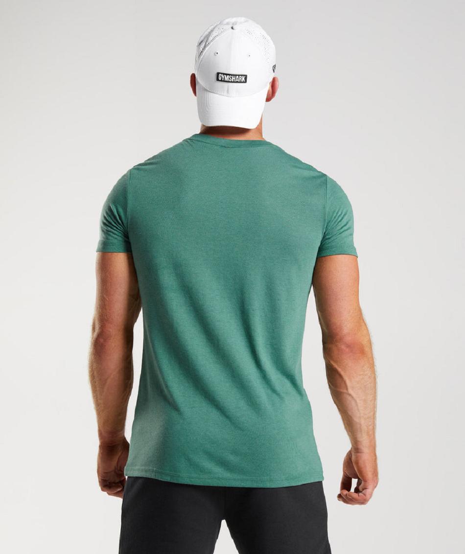 T Shirts Gymshark Legacy ανδρικα πρασινο | GR_QZ9412