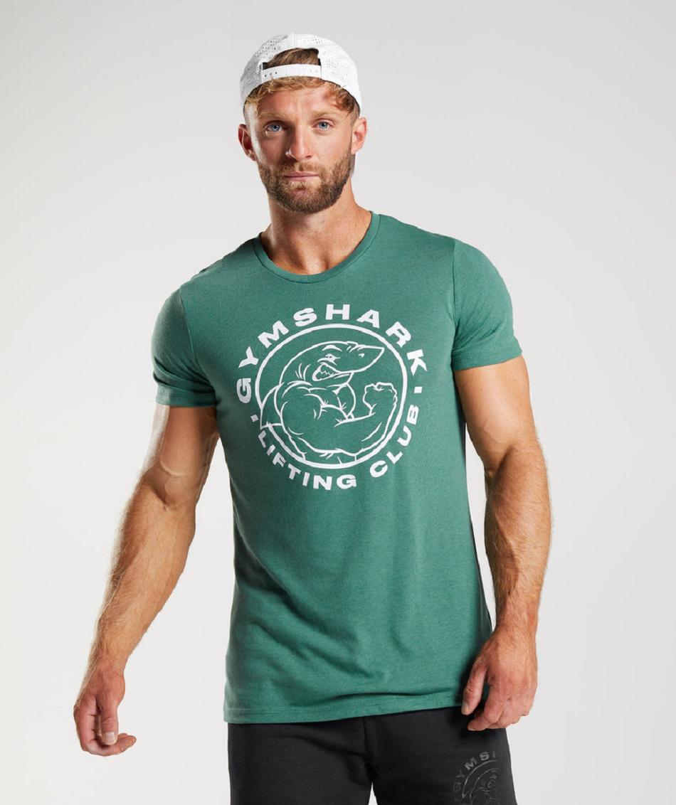 T Shirts Gymshark Legacy ανδρικα πρασινο | GR_QZ9412
