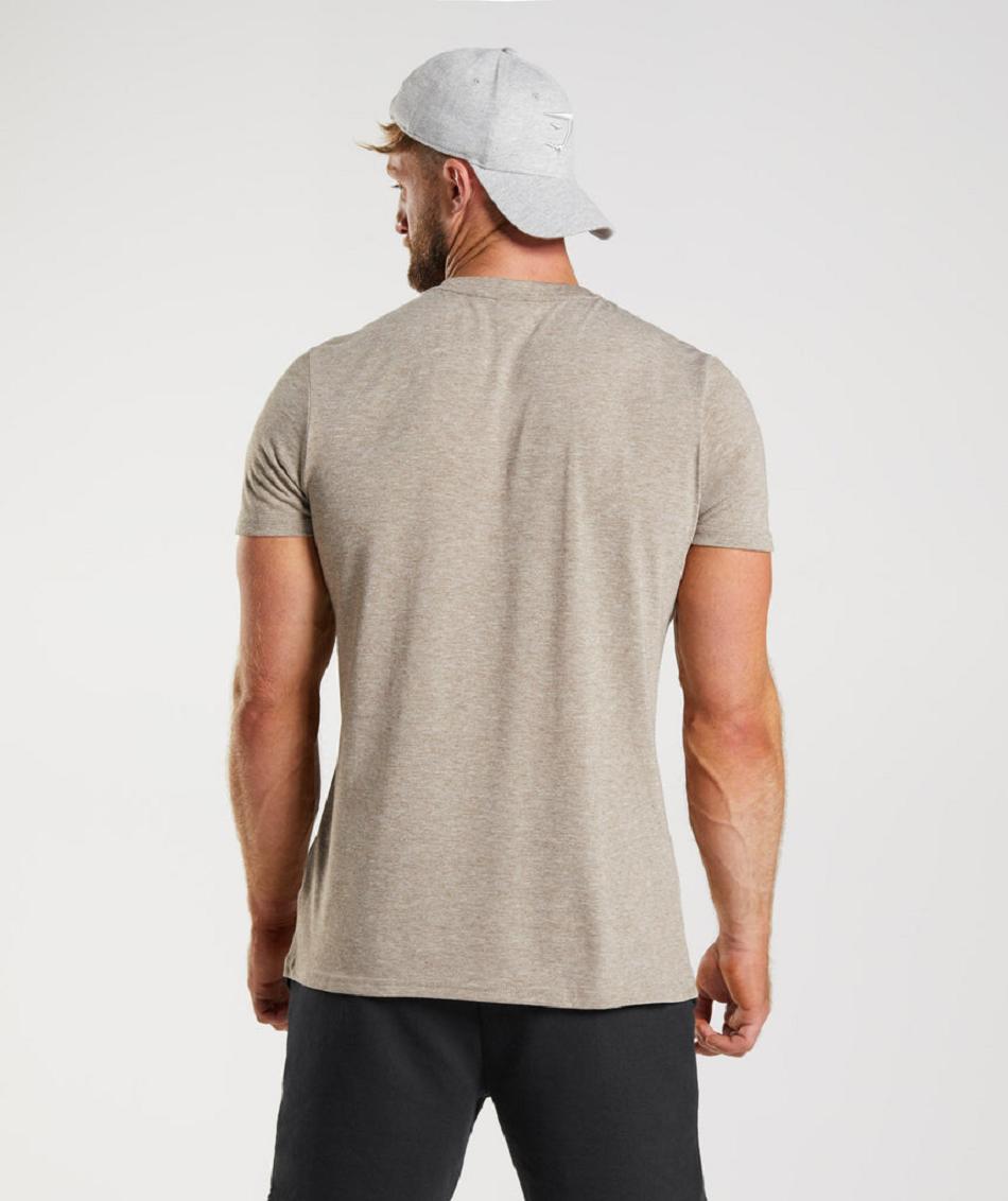 T Shirts Gymshark Legacy ανδρικα γκρι | GR_SU8163