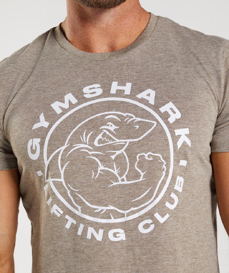 T Shirts Gymshark Legacy ανδρικα γκρι | GR_SU8163