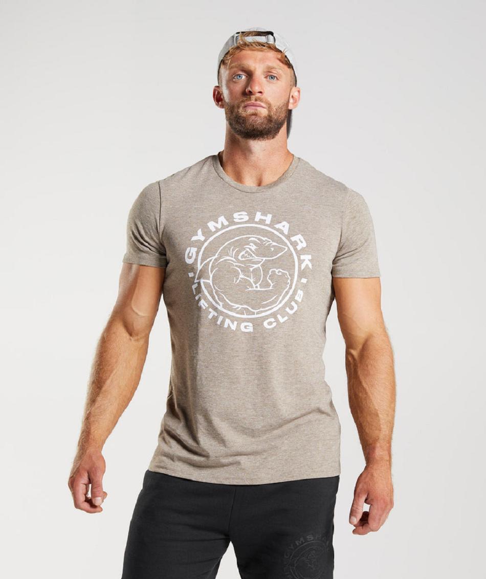 T Shirts Gymshark Legacy ανδρικα γκρι | GR_SU8163