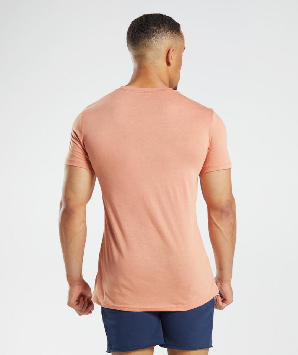 T Shirts Gymshark Legacy ανδρικα ροζ | GR_TG9039