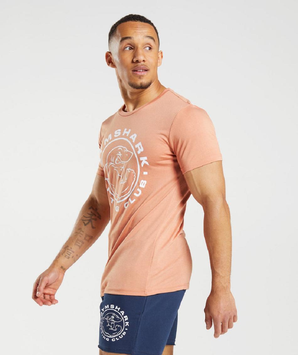 T Shirts Gymshark Legacy ανδρικα ροζ | GR_TG9039