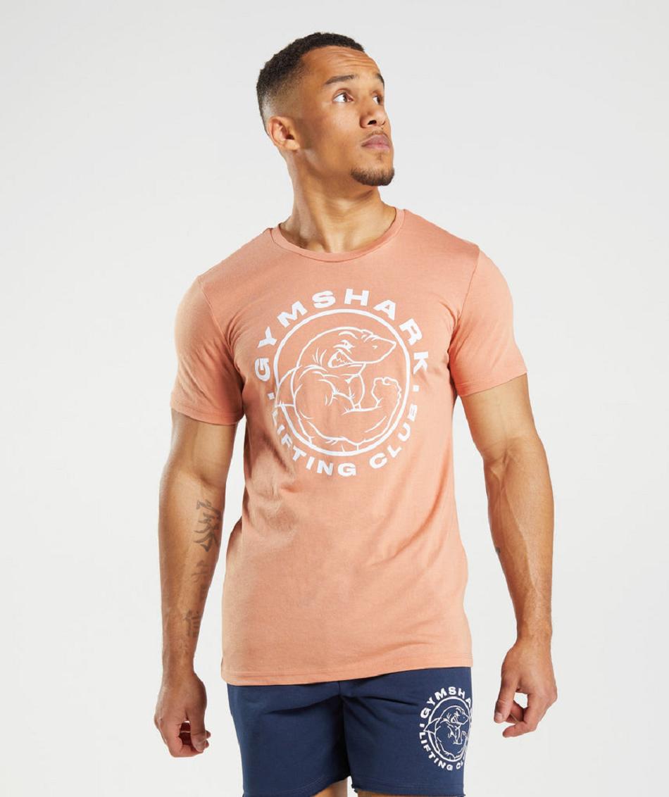 T Shirts Gymshark Legacy ανδρικα ροζ | GR_TG9039