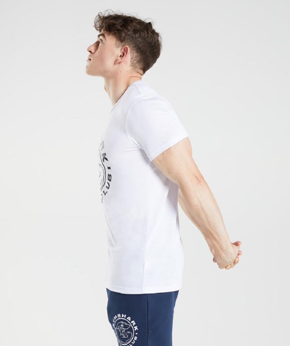T Shirts Gymshark Legacy ανδρικα ασπρα | GR_UV7503