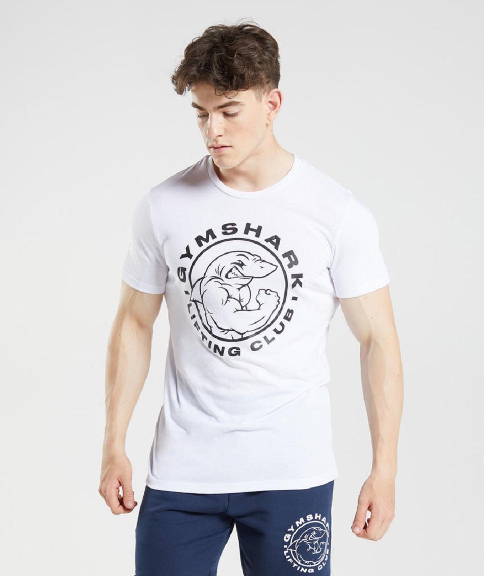 T Shirts Gymshark Legacy ανδρικα ασπρα | GR_UV7503