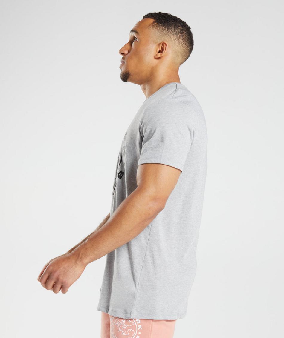T Shirts Gymshark Legacy ανδρικα ανοιχτο γκρι | GR_O7864