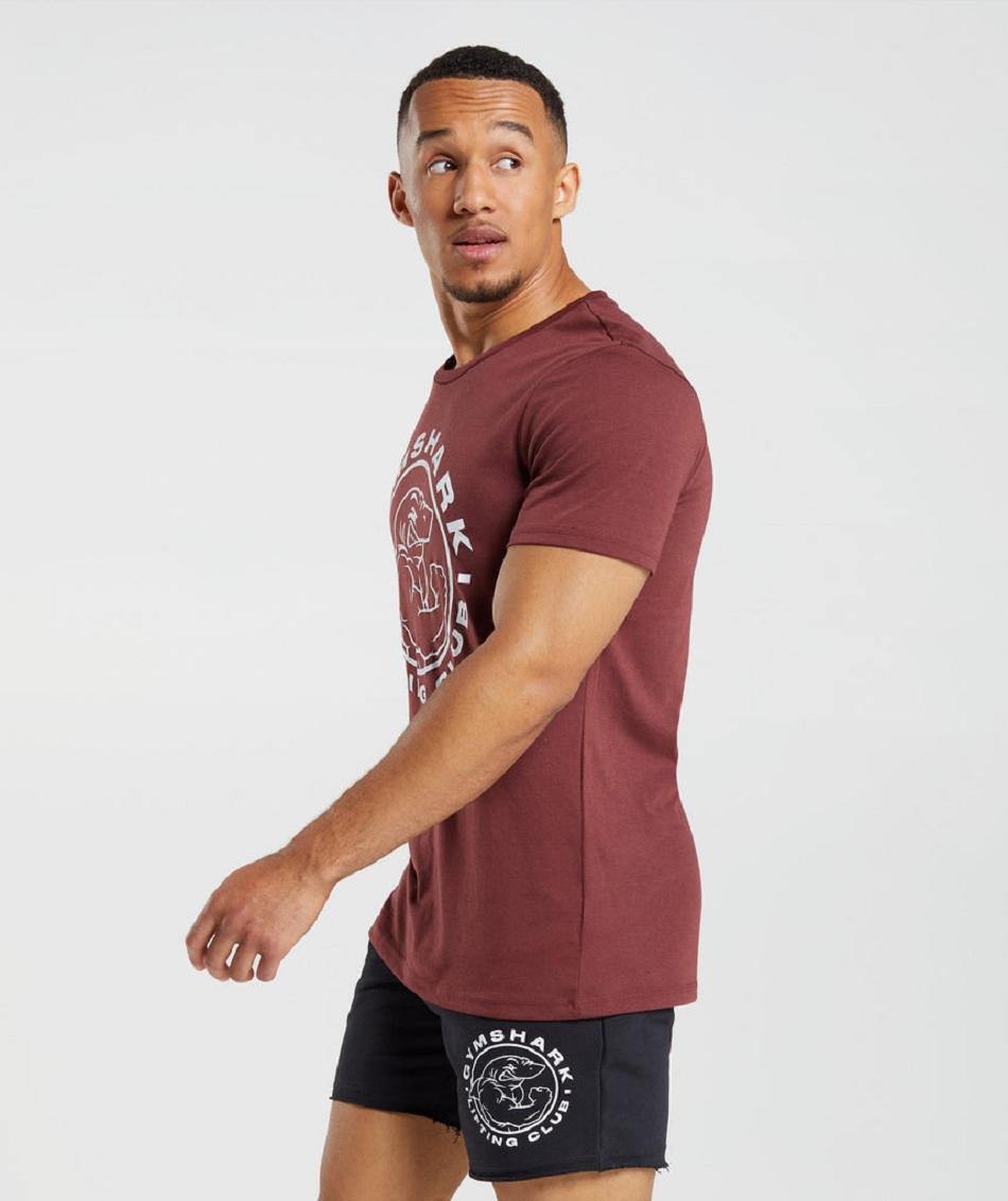 T Shirts Gymshark Legacy ανδρικα ροζ καφε | GR_XC9660