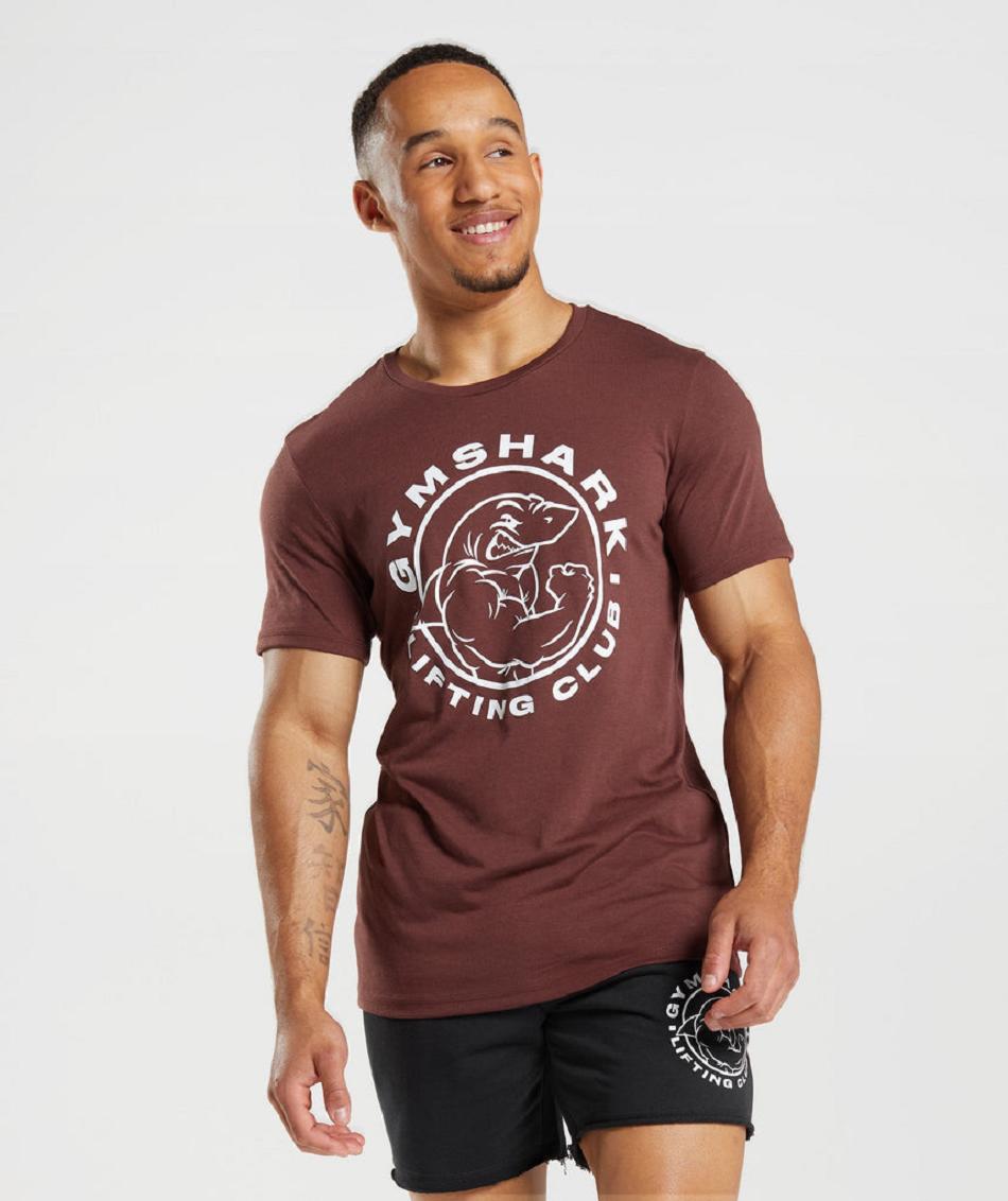 T Shirts Gymshark Legacy ανδρικα ροζ καφε | GR_XC9660
