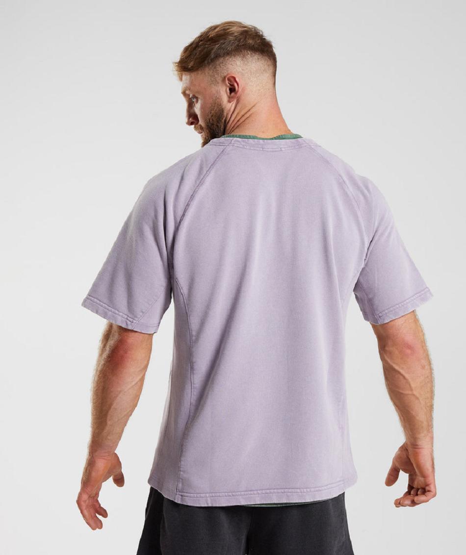 T Shirts Gymshark Power Washed Rag Top ανδρικα μωβ | GR_EG4729