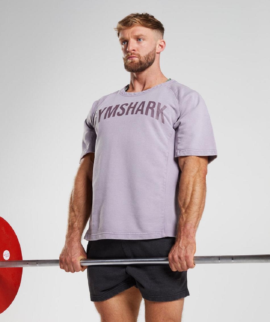 T Shirts Gymshark Power Washed Rag Top ανδρικα μωβ | GR_EG4729
