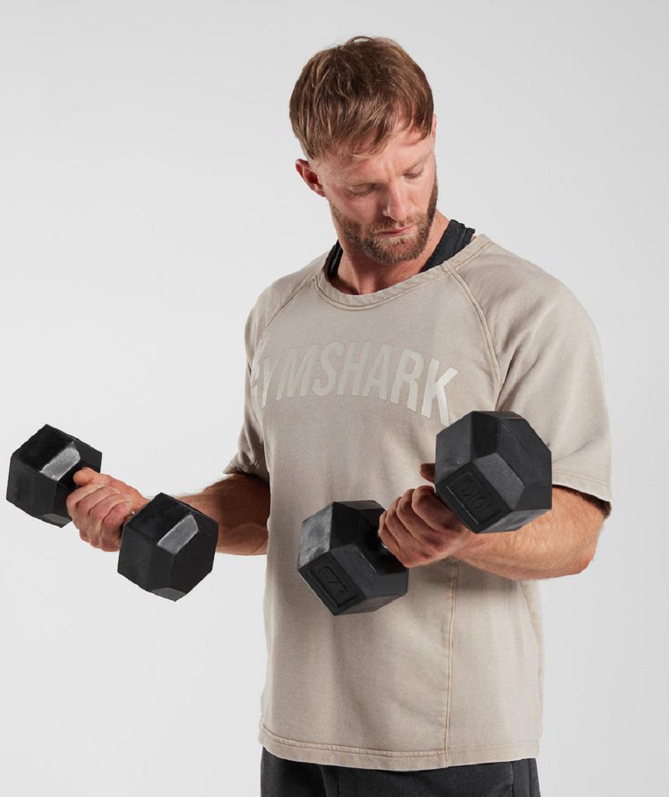 T Shirts Gymshark Power Washed Rag Top ανδρικα καφε | GR_CG9536