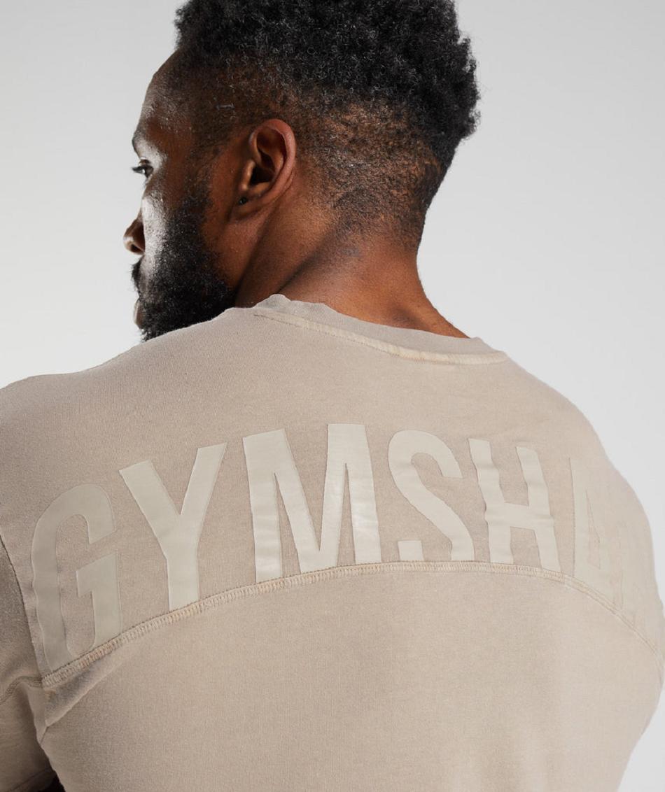 T Shirts Gymshark Power Washed ανδρικα καφε | GR_CG7742