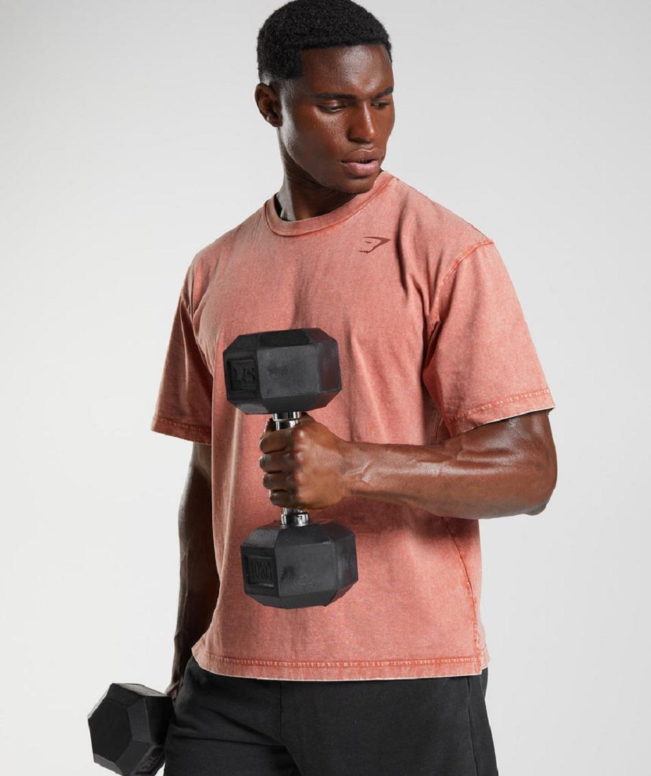 T Shirts Gymshark Power Washed ανδρικα ροζ καφε | GR_N9707