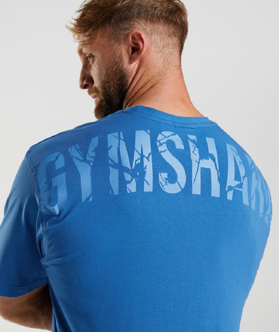 T Shirts Gymshark Power ανδρικα μπλε | GR_NN9939