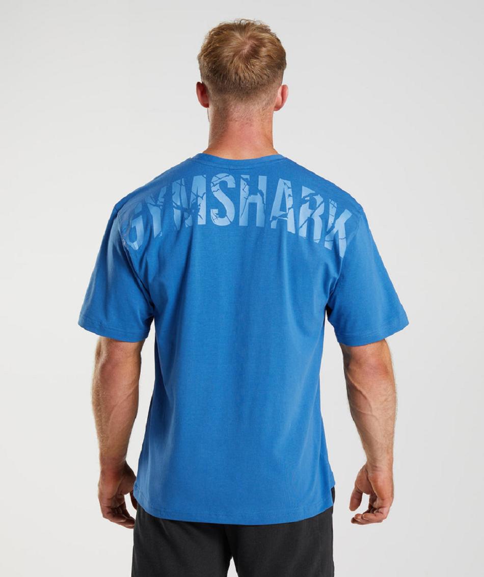 T Shirts Gymshark Power ανδρικα μπλε | GR_NN9939