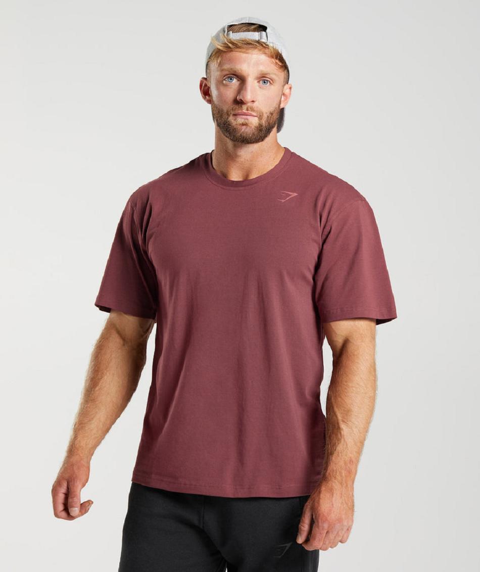T Shirts Gymshark Power ανδρικα ροζ καφε | GR_YJ8561