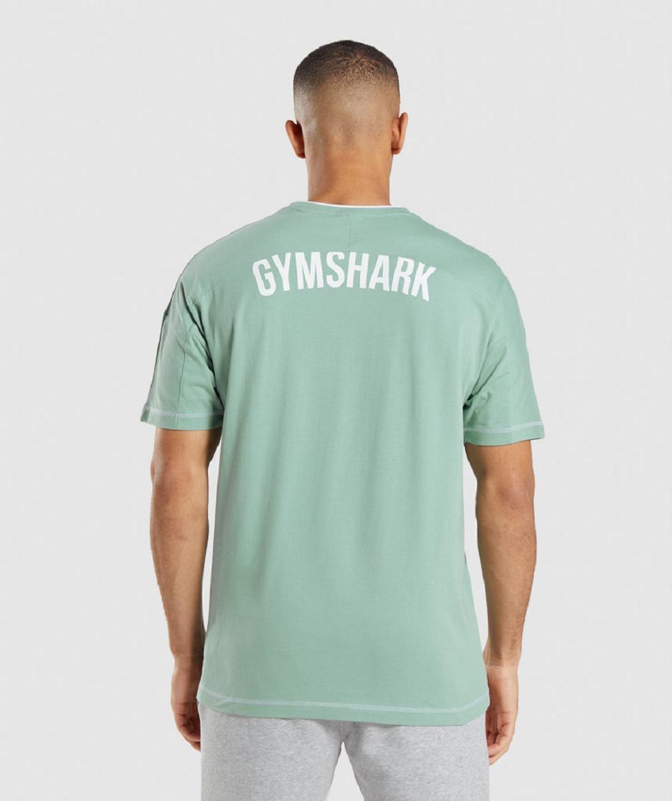 T Shirts Gymshark Recess ανδρικα μπλε ασπρα | GR_YJ7154