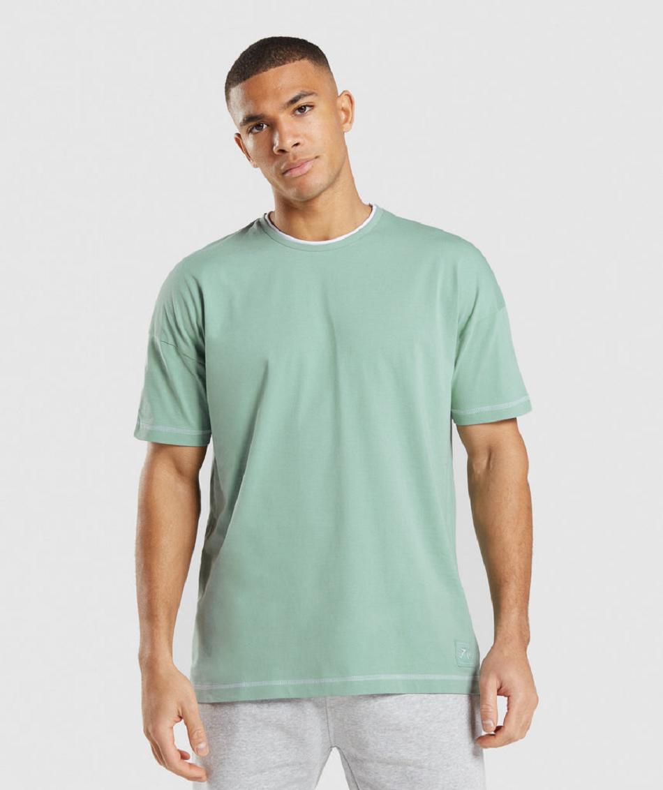 T Shirts Gymshark Recess ανδρικα μπλε ασπρα | GR_YJ7154